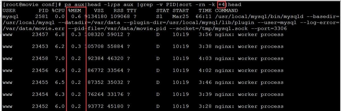 Linux下如何查看CPU信息（使用Linux命令查看CPU型号、核心数和使用率）