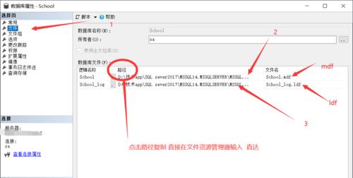 解决MDF文件导入数据库错误的方法（排除导入MDF文件时遇到的常见问题）