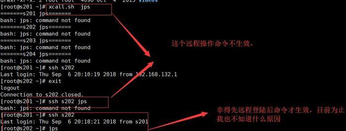 Linux脚本编写教程（掌握Linux脚本编写的关键技巧与实践）