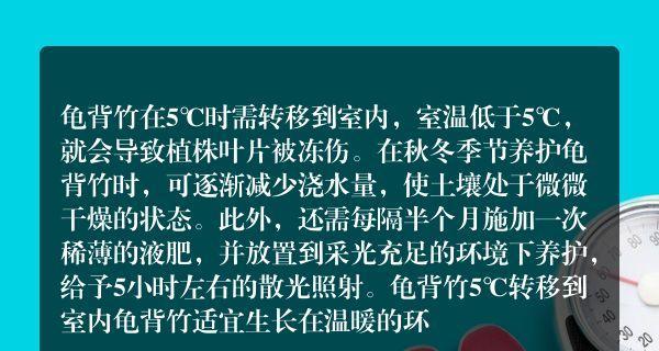 手机测试室内温度软件推荐——科技与生活的完美结合（让手机成为你的温度计，轻松掌握室内温度）