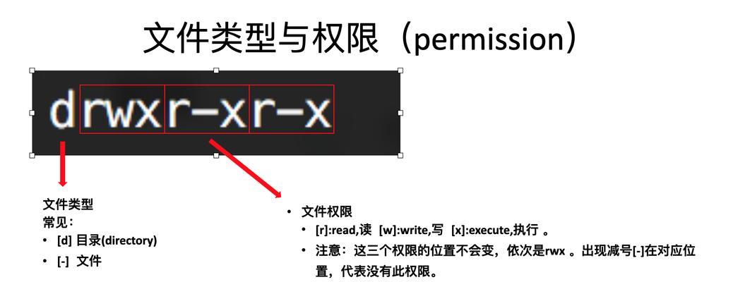 Unix还是Linux？一场操作系统之战的选择（探究Unix与Linux的差异，帮助你做出选择）