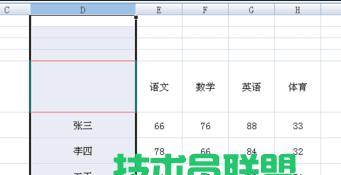 Excel教程（学习如何在Excel中制作带斜线的表格）