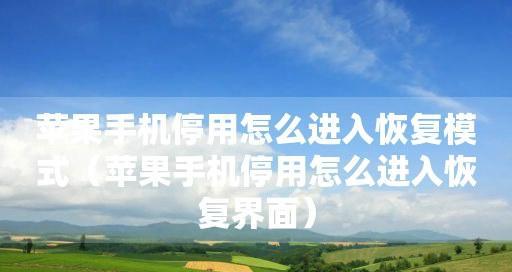 苹果手机卡在开机界面不动解决方法（教你如何解决苹果手机开机界面卡顿问题）