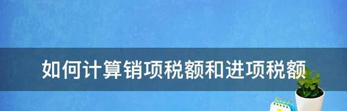 探索一般纳税人信息查询系统的便利性与应用（解读纳税人信息查询系统的功能与操作方法）