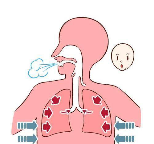 如何利用腹式呼吸法减小肚子（腹式呼吸的关键技巧和效果）