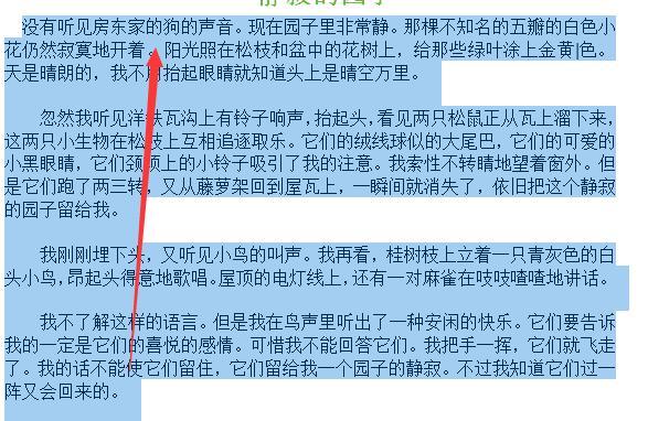 利用视频声音转换技术实现语音转写的窍门（以视频中的声音为基础）