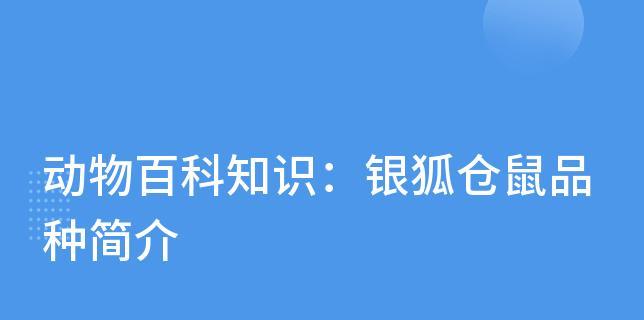 新手养小仓鼠，一起来探索可爱世界（从零开始的小宠物养成计划）