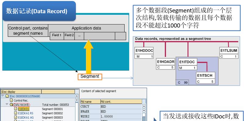 了解SAP的数据库类型（探索SAP的数据库类型及其关键特性）