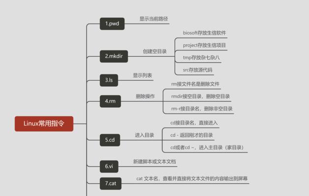 掌握Linux常用命令，轻松玩转终端（分享Linux常用命令及用法）