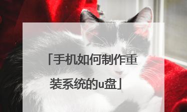 U盘受损修复的简便方法（轻松解决U盘损坏的烦恼）