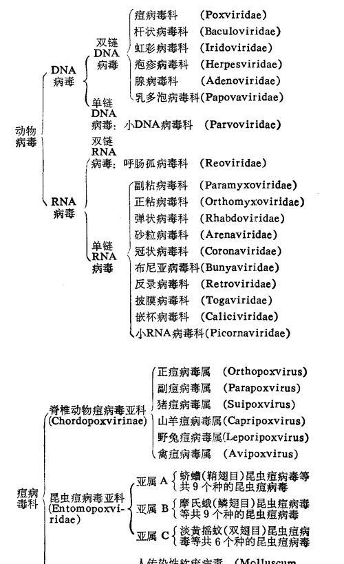 电脑病毒清除大作战（彻底摆脱电脑病毒的小妙招）