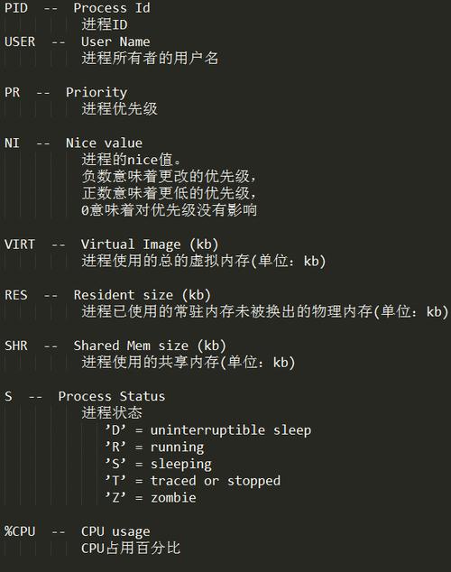 Linux常用命令大全，提升面试竞争力（20个关键命令帮你轻松应对Linux面试）