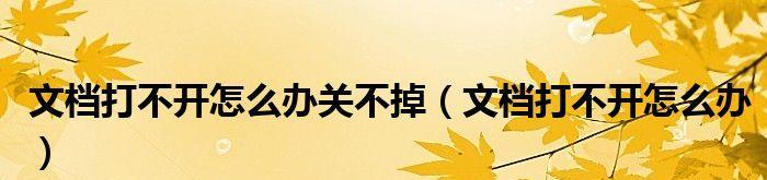 解决文档双击无法打开的问题（分析原因和提供解决方案）