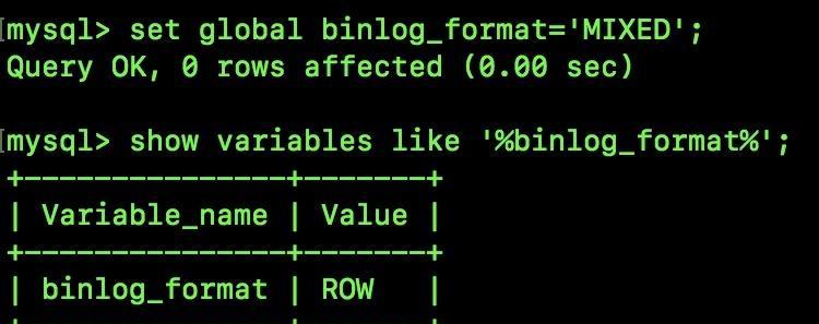 电脑bin格式解析与打开方法（深入了解bin格式文件的结构与使用技巧）