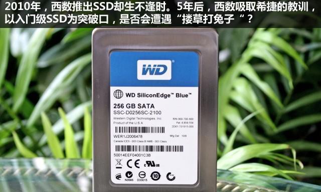 SSD固态硬盘vs.机械硬盘（深入比较SSD固态硬盘和机械硬盘的性能差异及优劣势）