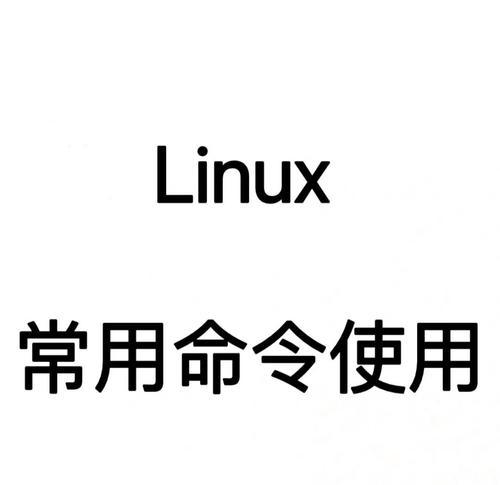 Linux常用命令大全新手入门指南（从零开始）