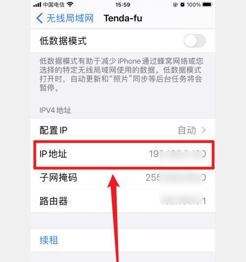 揭秘网络IP地址的查看方法（轻松了解IP地址的神秘面纱）