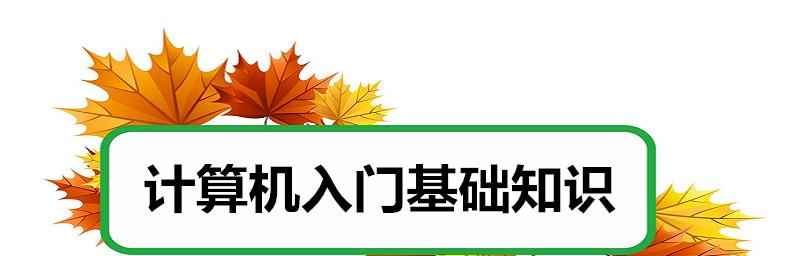 电脑知识入门基础知识详解（掌握电脑基础）