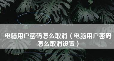 如何强制解开电脑密码设置（突破密码保护）