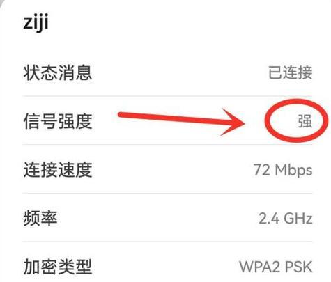 WiFi已连接但无法上网的原因分析与解决方法（排除WiFi连接问题）