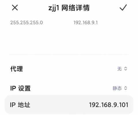 手机连接WiFi却无法上网的原因（解析手机WiFi连接后无法正常上网的问题及解决方法）