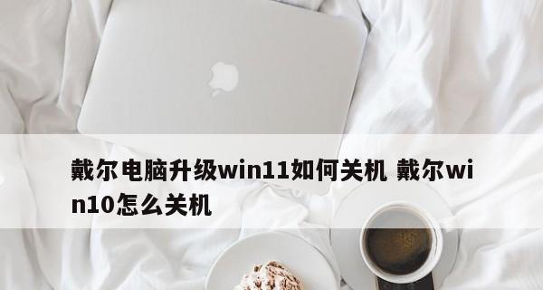 如何通过Win11查看电脑的型号和配置（轻松了解电脑硬件信息）