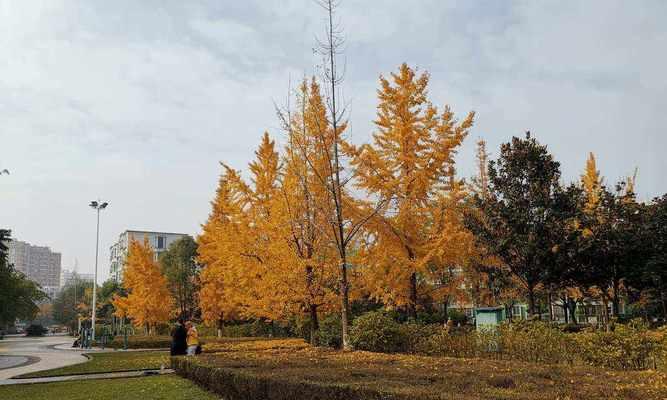 探寻以西南石油大学为主的高等教育发展（从历史变革到学术成就）