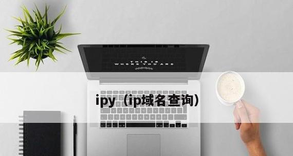 通过域名IP查询工具了解网站信息（深入解析域名IP查询工具的作用与使用方法）