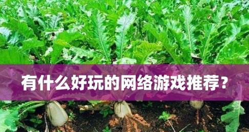 好玩又不用网络的游戏推荐（15个让你忘记网络的经典游戏）