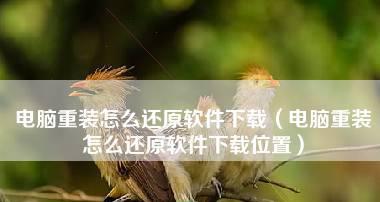 新电脑必备软件大全（为您的新电脑安装必备软件）