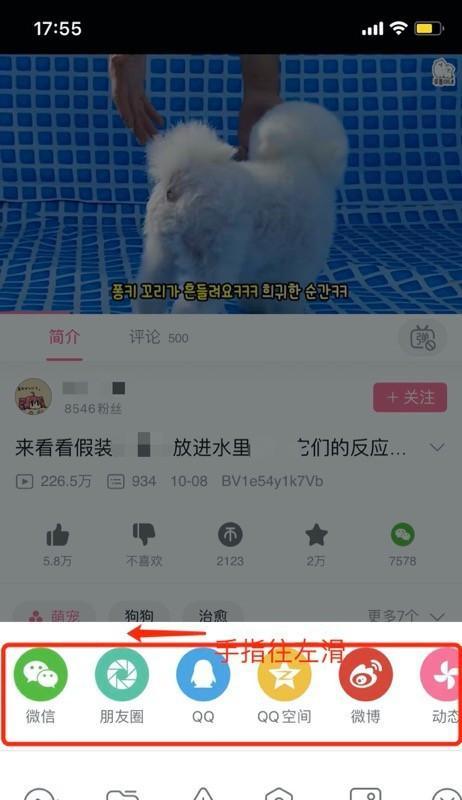 B站视频缓存导出教程（教你如何轻松导出B站缓存的视频文件）