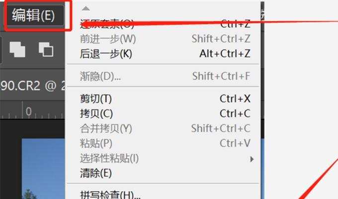 如何使用手机打开CR2格式文件（掌握一招）