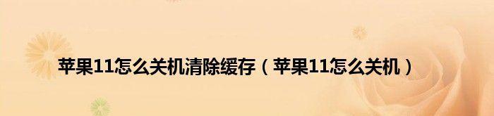 如何通过清除电脑缓存释放存储空间（简单有效的清理方法帮您优化电脑性能）