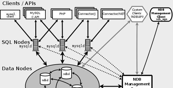 深入了解MySQL数据库基础知识（MySQL数据库的重要性及应用领域）