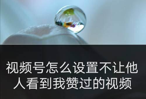 微信视频号提取视频的窍门（轻松学会从微信视频号中提取视频的技巧）