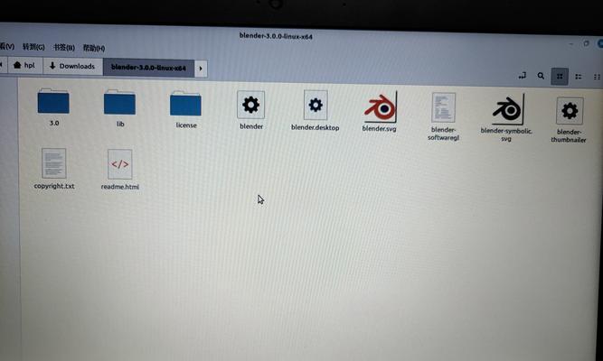 Linux下如何解压zip文件到指定目录（使用命令行工具进行操作的关键技巧）