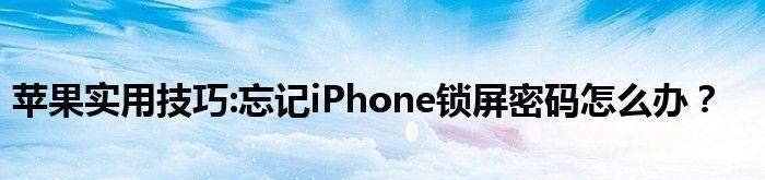 40秒破解iPhone锁屏密码的方法（利用漏洞技巧）