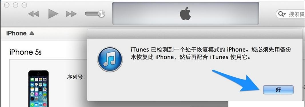 解决苹果iTunes停用问题的有效方法（教你如何解决苹果iTunes停用的困扰）