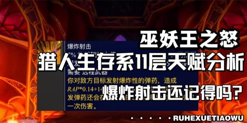 2024巫妖王最简单的打法猎人攻略（以猎人为主角）