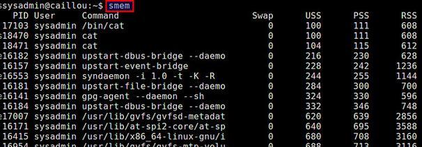 Linux系统内存使用情况详解（深入了解Linux系统的内存管理和监控工具）