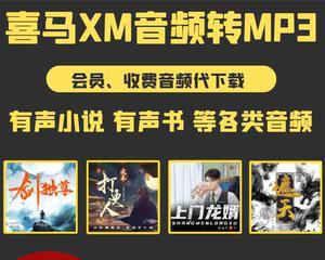 如何将XM格式转换成MP3？转换过程中需要注意什么？