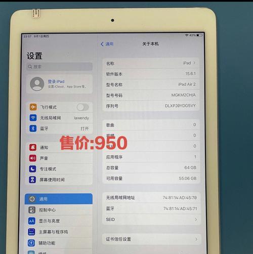 如何清理iPad内存垃圾和缓存？步骤是什么？