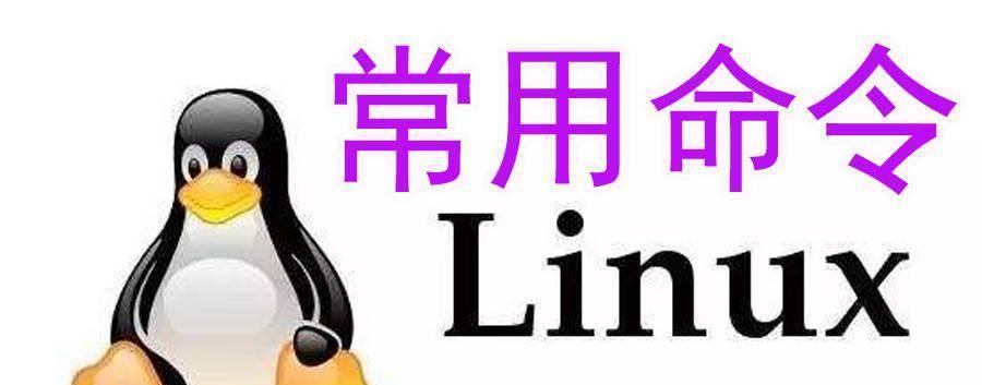 内存不能read命令格式怎么修复？一招教你快速解决！