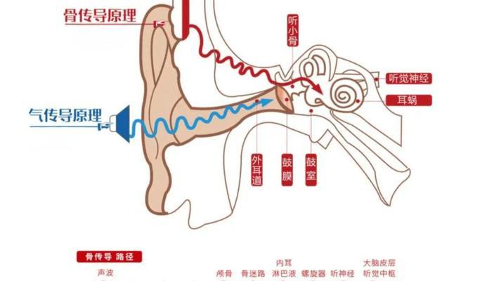 蓝牙耳机之间如何进行互传？